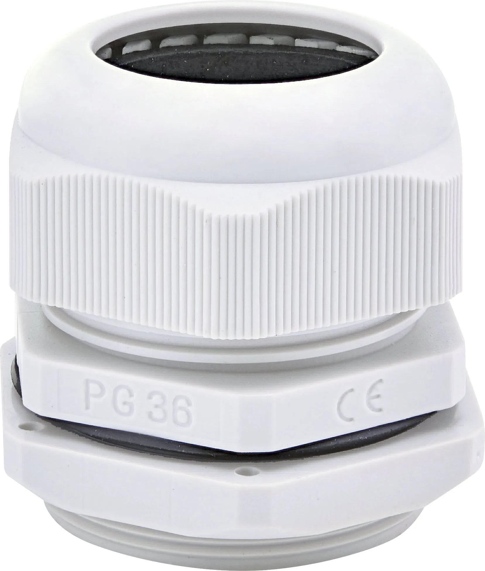 Dichtschraube PG-36 001102648